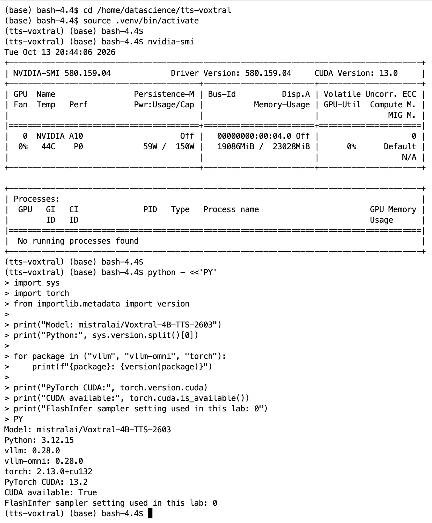 OCI Data Science A10 environment and Voxtral software versions